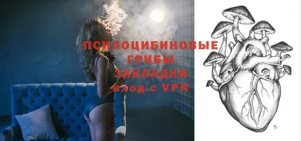дживик Алексин