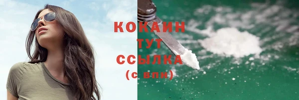дживик Алзамай